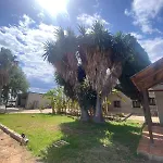Almendros