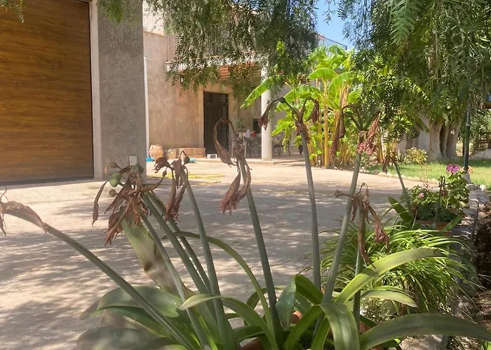 Almendros Torrenostra